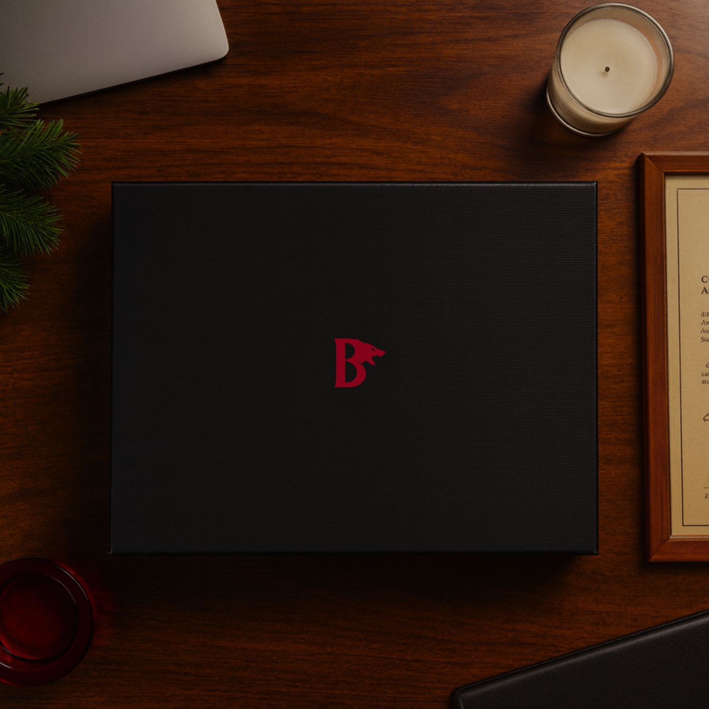 THE HAVEN LIGHTWEIGHT COAT