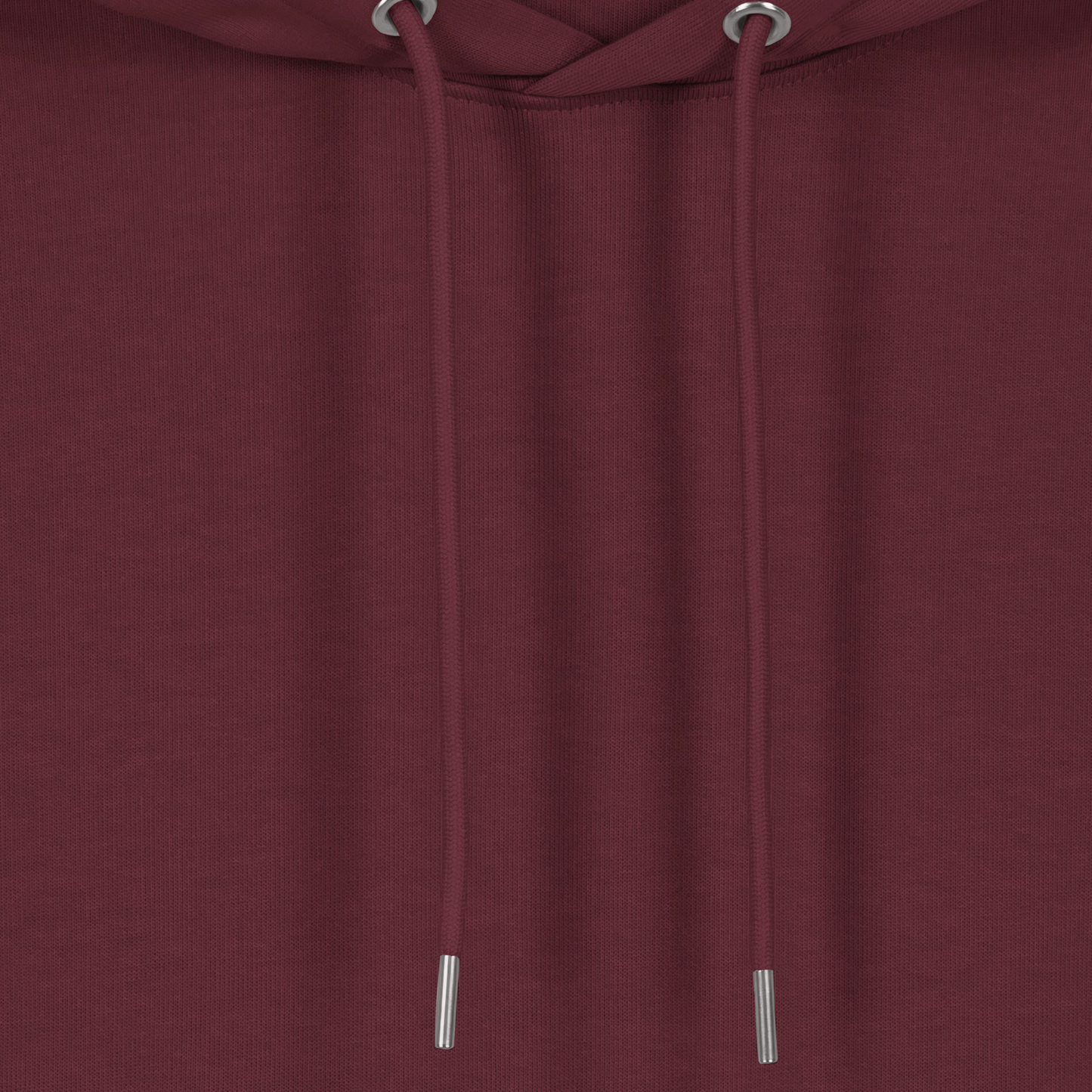 THE PRESIDENTIAL HOODIE